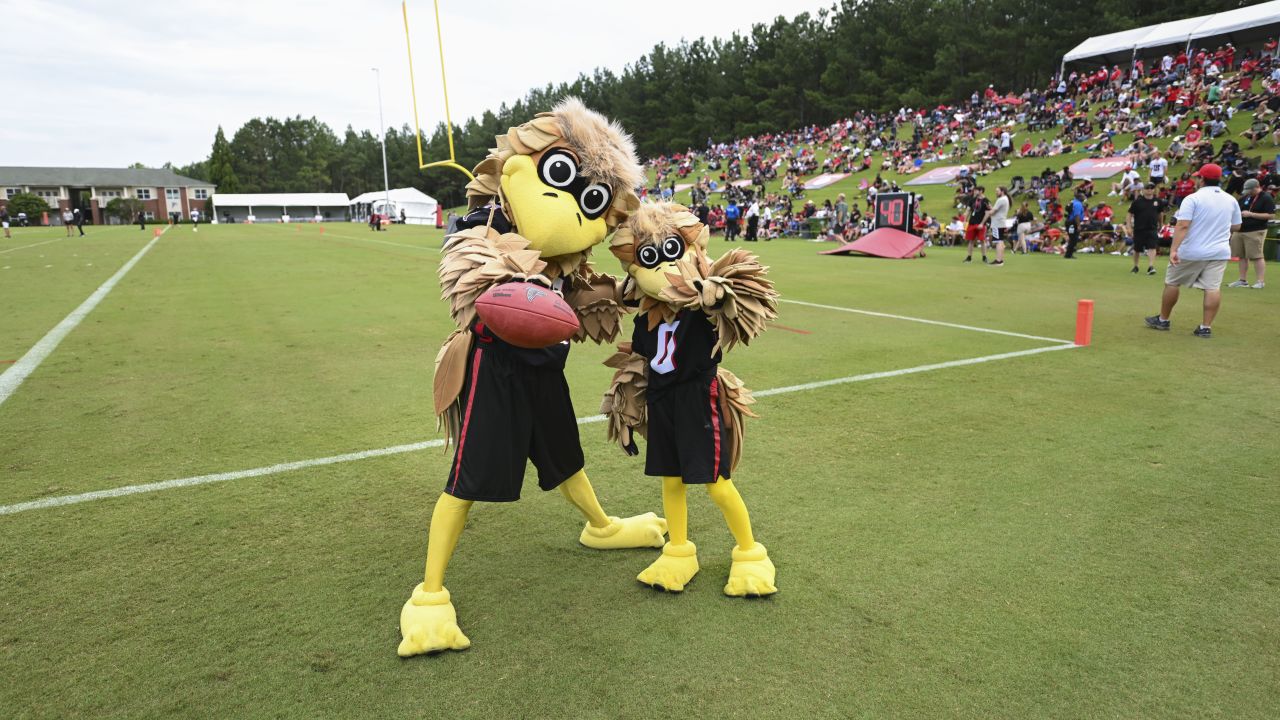 C&IS Alumna Hosting on the Big Stage for the Atlanta Falcons