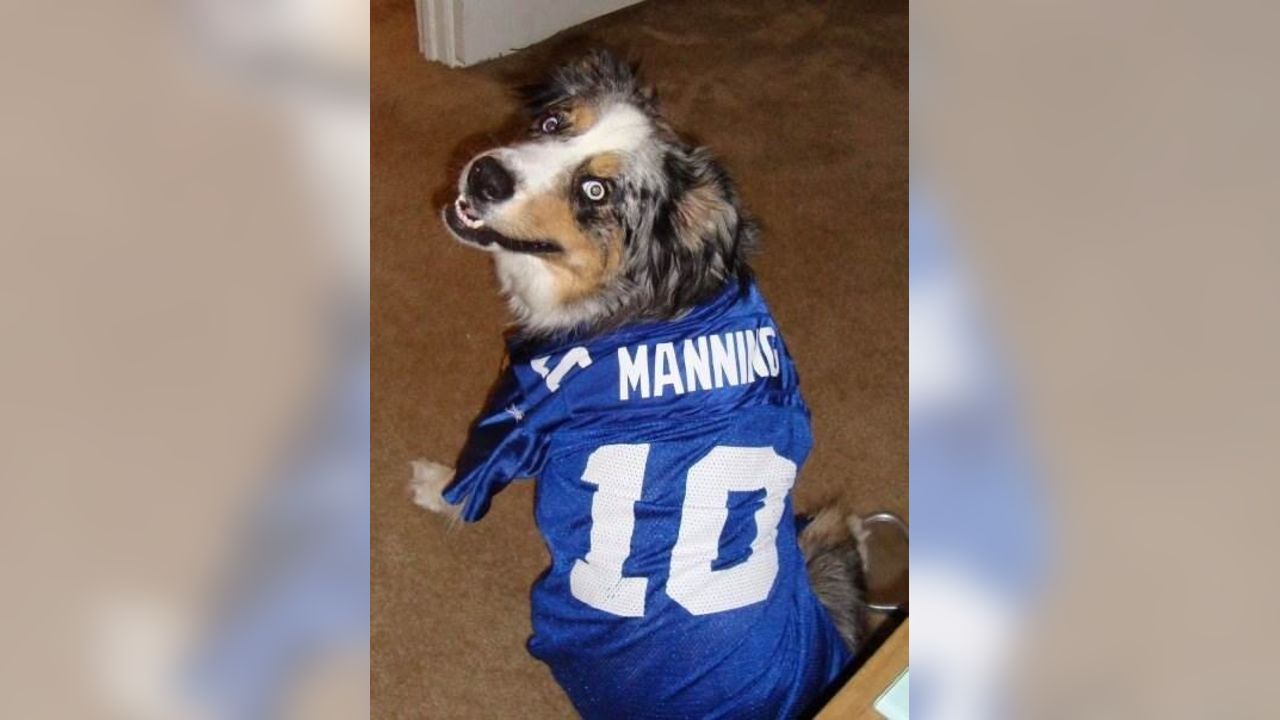 Giants fans submit photos on National Puppy Day