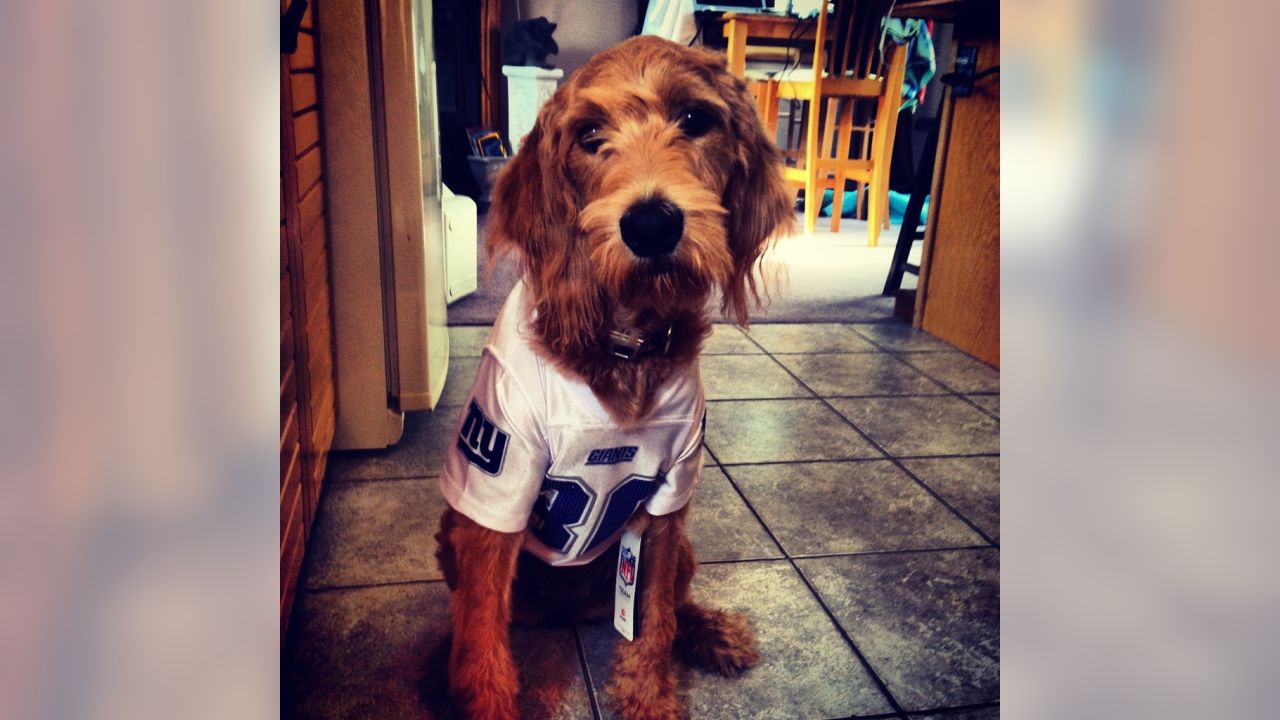 Giants fans submit photos on National Puppy Day