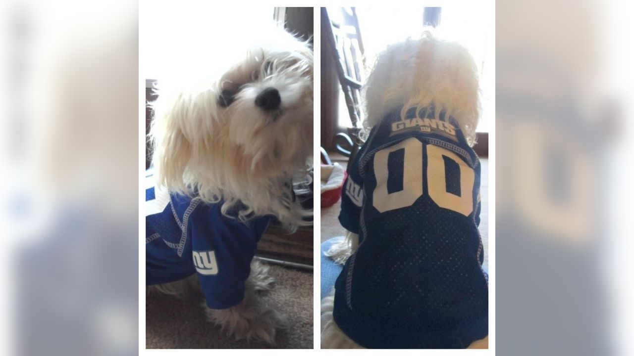 Giants fans submit photos on National Puppy Day