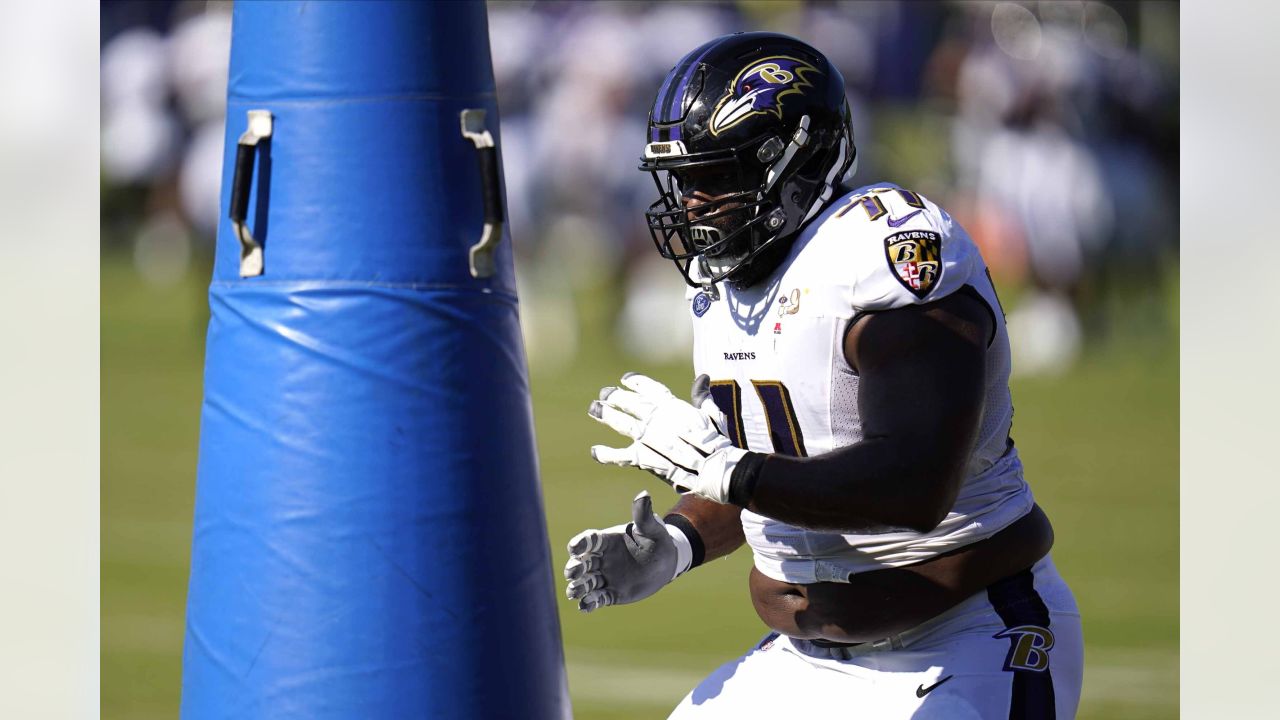 Giants sign former Ravens DT Justin Ellis