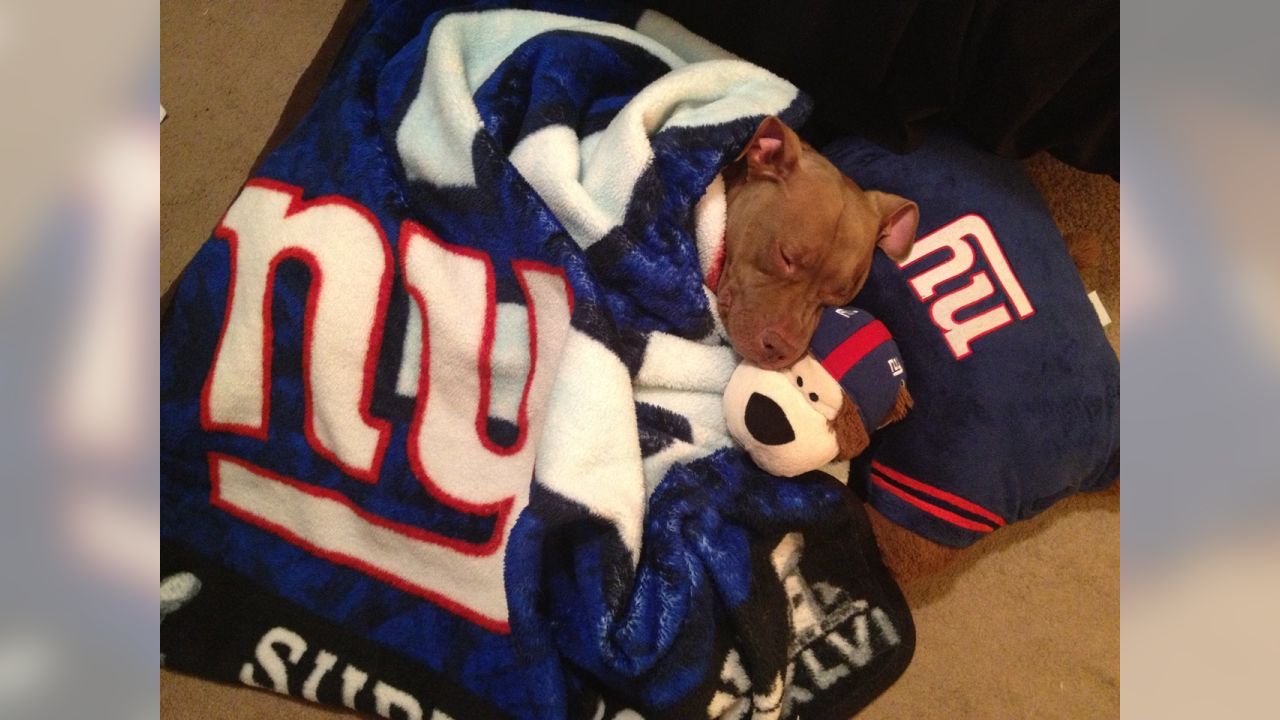 Giants fans submit photos on National Puppy Day