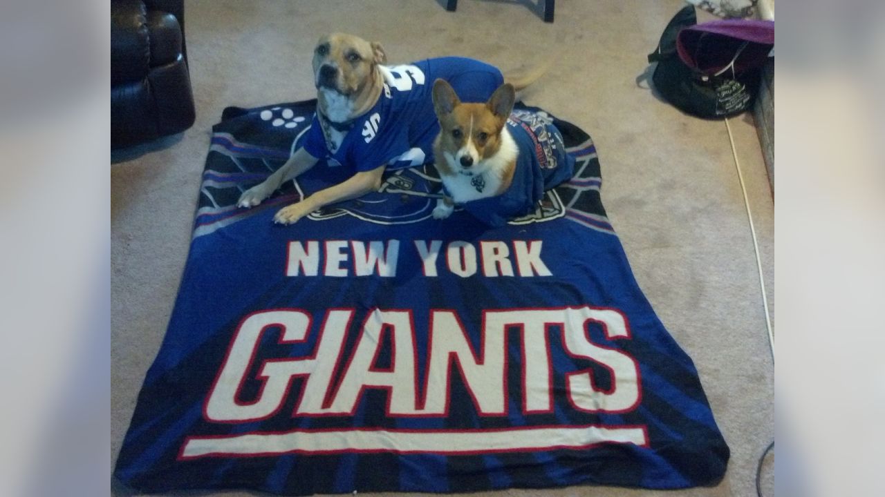 Giants fans submit photos on National Puppy Day