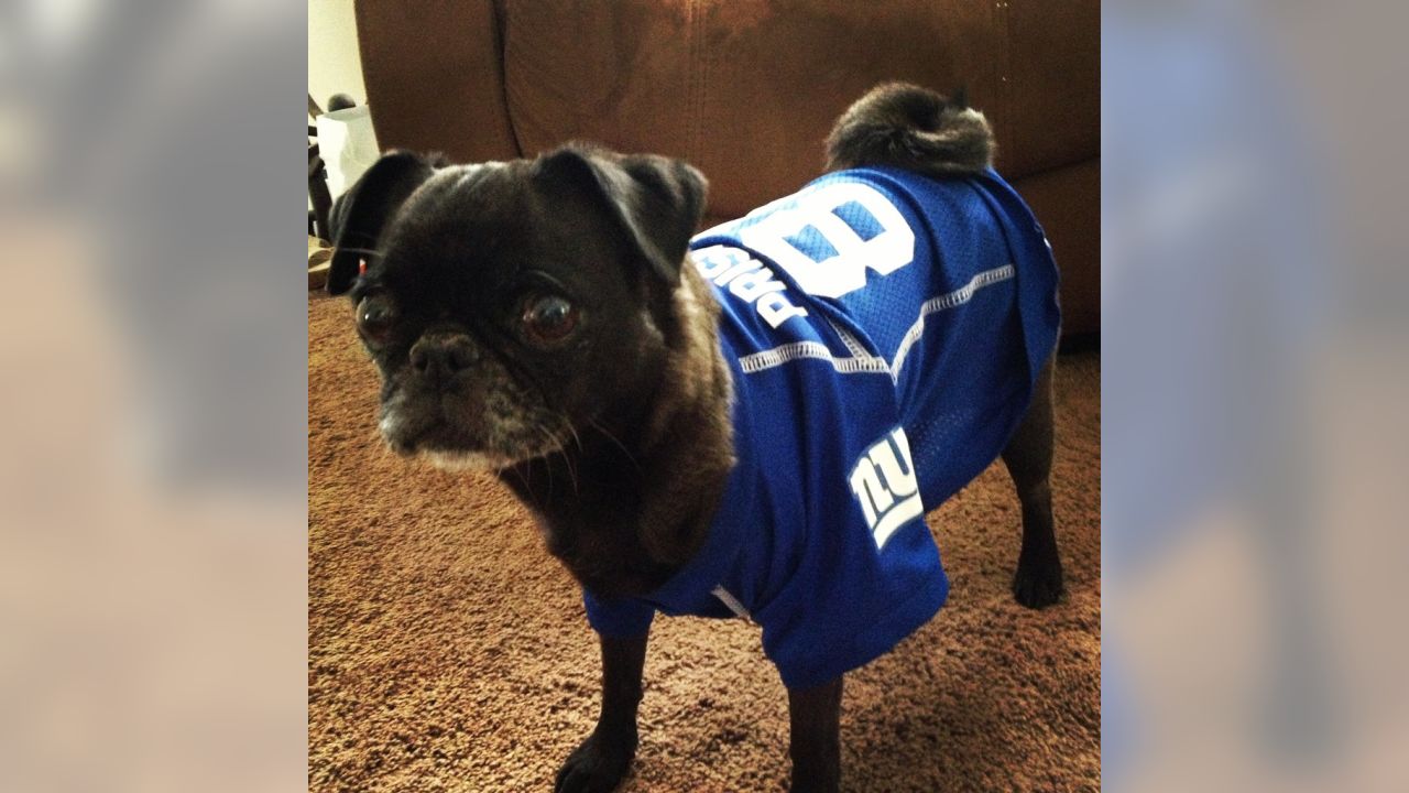 Giants fans submit photos on National Puppy Day