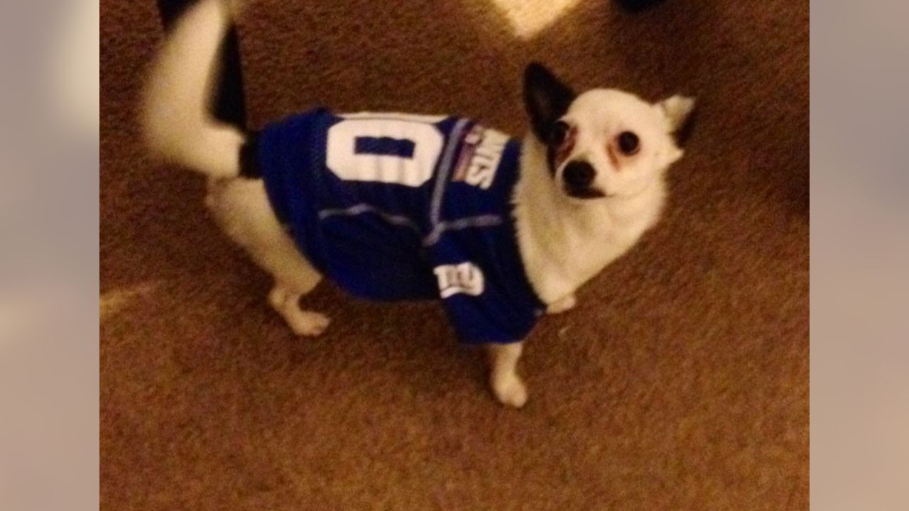 Giants fans submit photos on National Puppy Day