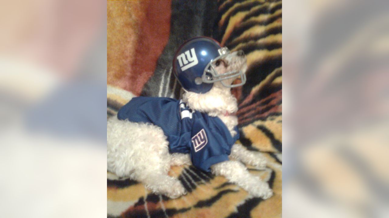 Giants fans submit photos on National Puppy Day