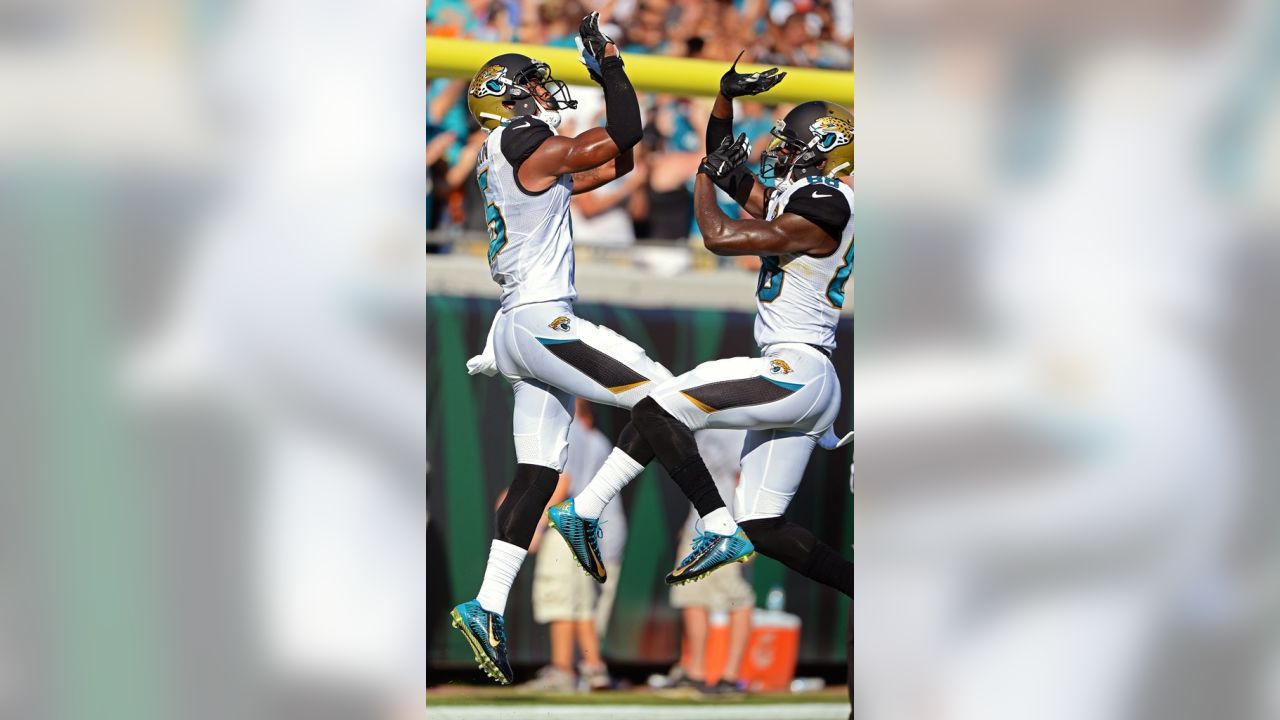 Download NFL Allen Robinson Allen Hurns Wallpaper