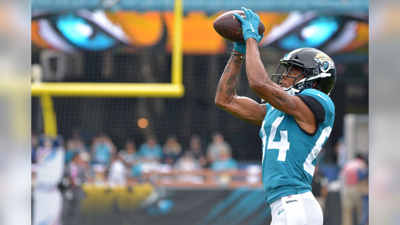 Keelan Cole catch: NFL reacts to Jacksonville Jaguars WR's 'catch of the  year' (so far) 