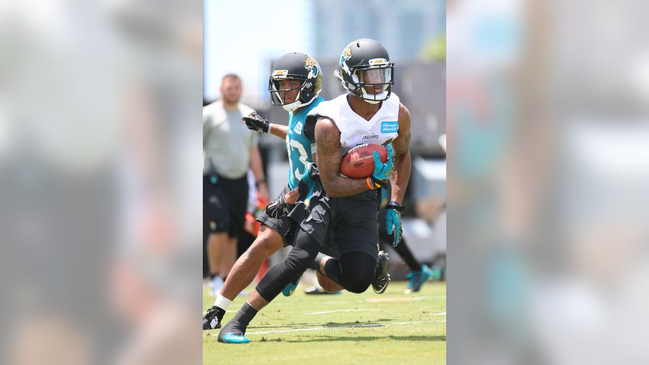 Jacksonville Jaguars tight end Neal Sterling (87) is congratulated