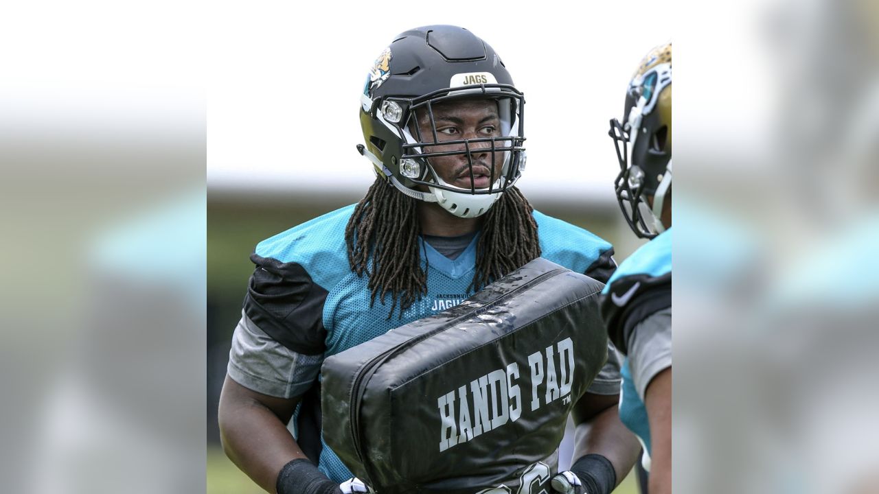 Jacksonville Jaguars tight end Neal Sterling (87) is congratulated