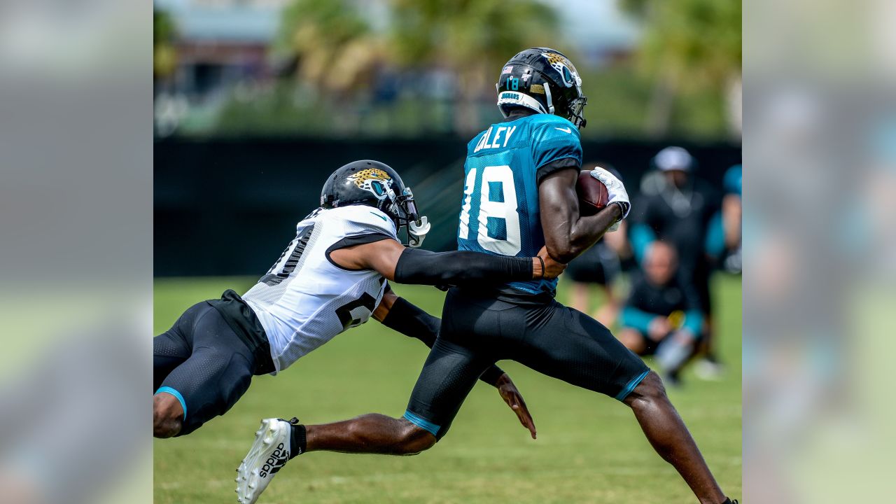 Firehouse Brewing Company - NFL preseason kicks off with Jaguars