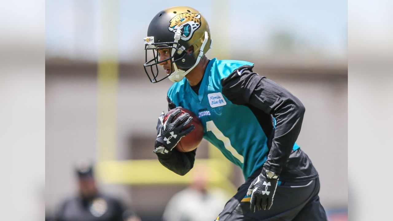 Jacksonville Jaguars tight end Neal Sterling (87) is congratulated