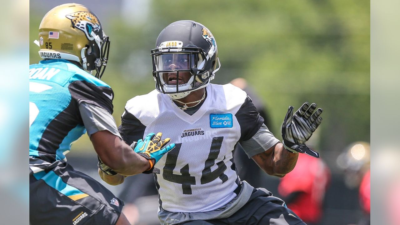 Jacksonville Jaguars tight end Neal Sterling (87) is congratulated