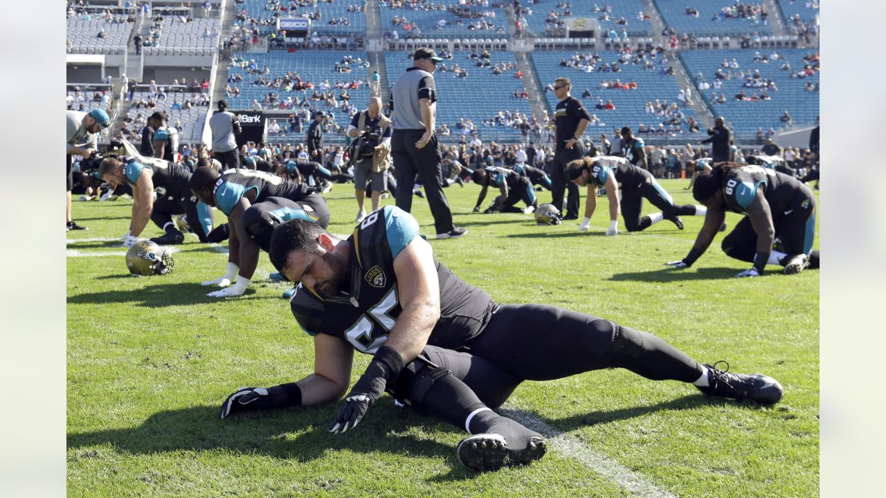 EverBank Stadium - Packers Jaguars Football An excited Jacksonville Jaguars  fan cheers against the Green Bay Packers Sunday September 11, 2016, in  Jacksonville, Fl.. (Rick Wilson/Jacksonville Jaguars)