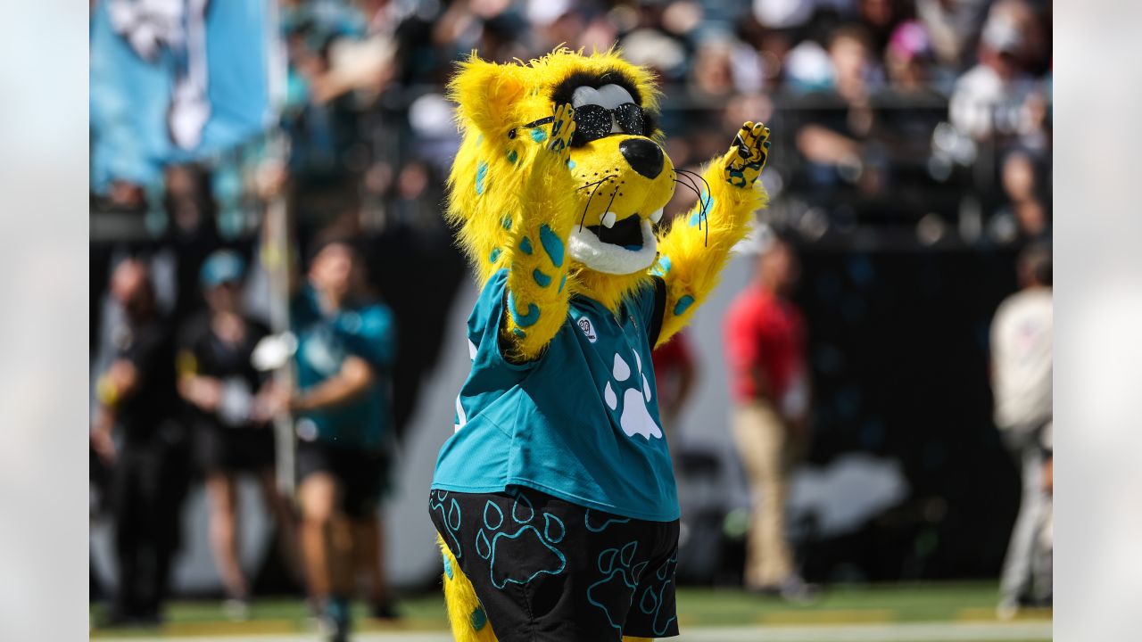 Jacksonville Jaguars vs. Houston Texans. Fans support on NFL Game.  Silhouette of supporters, big screen with two rivals in background Stock  Photo - Alamy