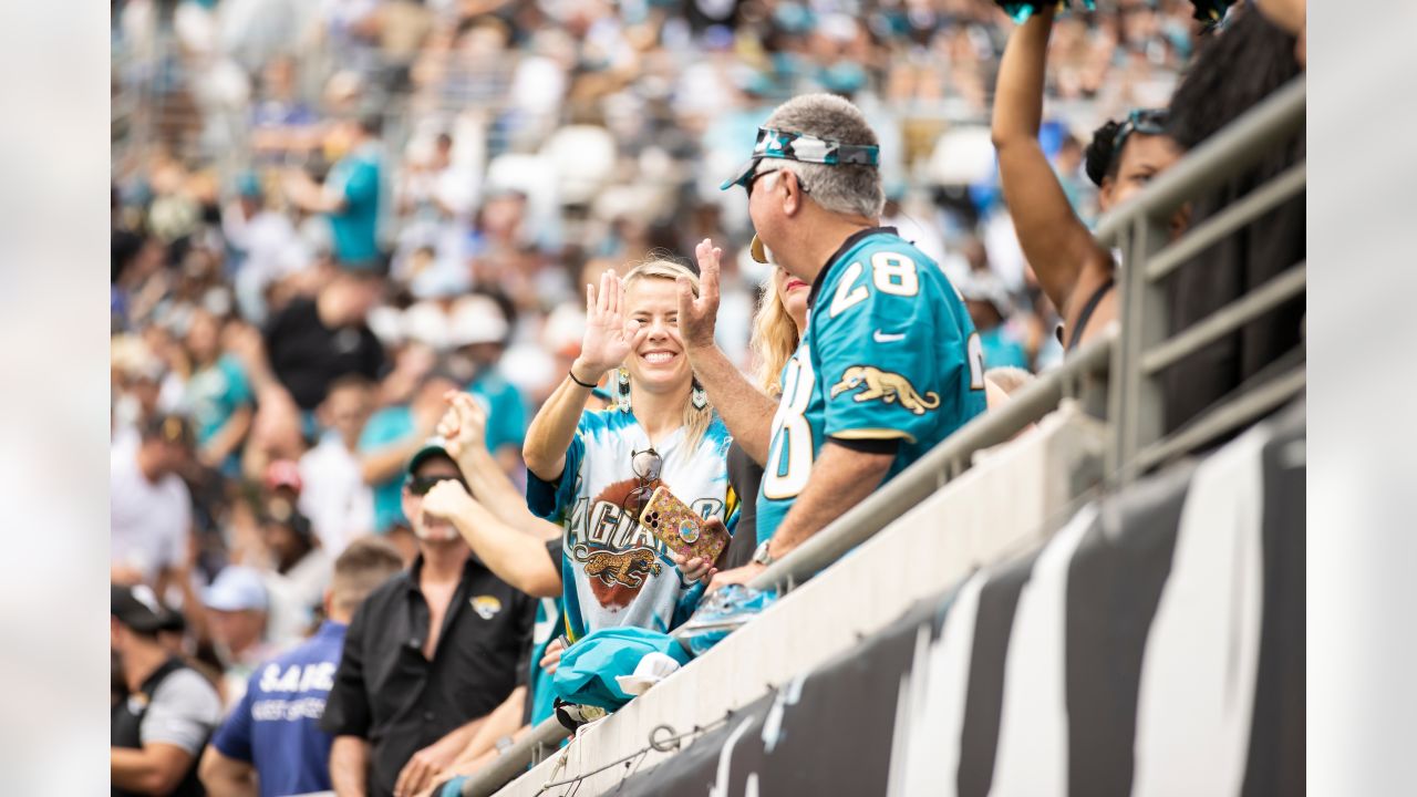 3,588 Jaguars Fans Stock Photos, High-Res Pictures, and Images