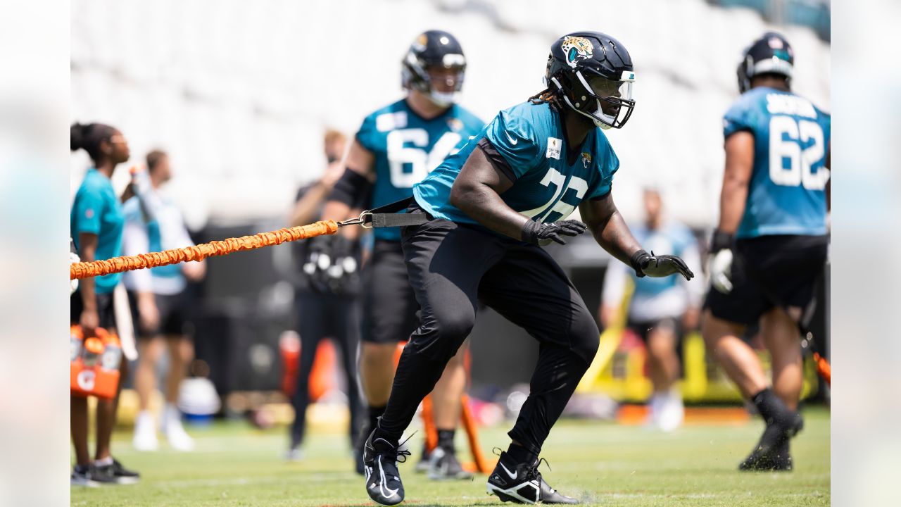 Photo gallery: Jaguars training camp at EverBank Stadium on Saturday