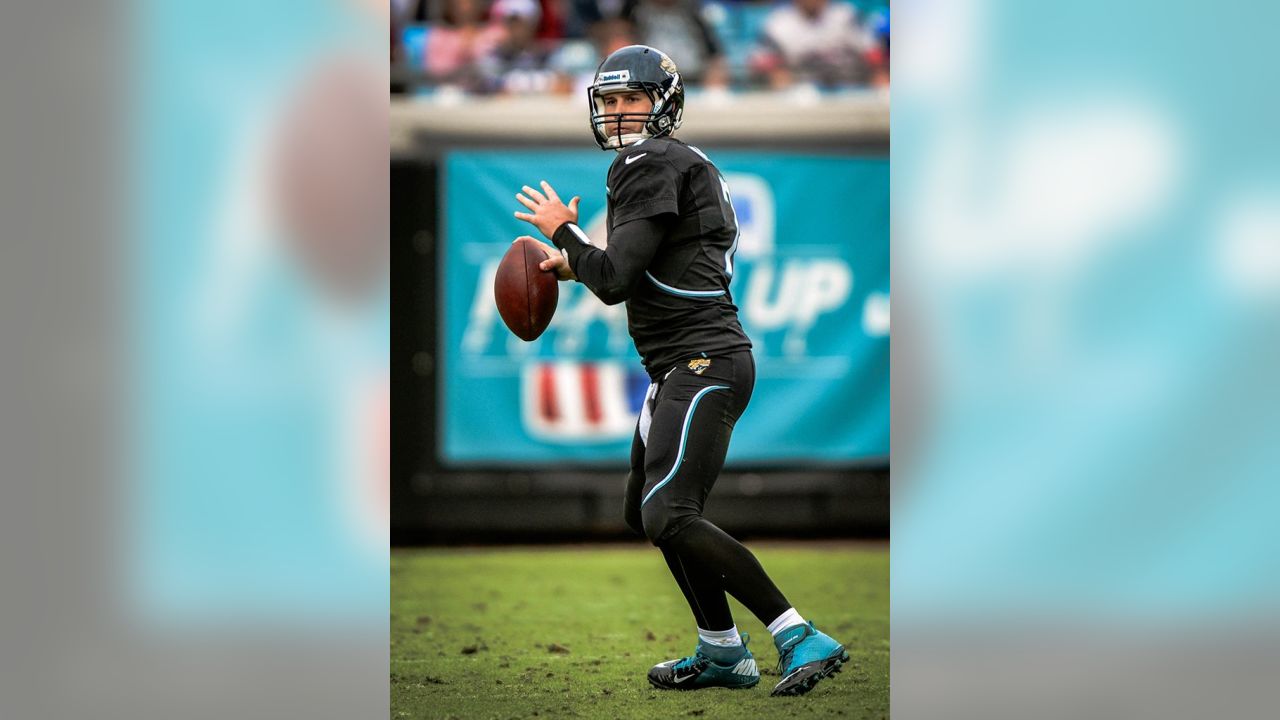 443 Michigan Chad Henne Stock Photos, High-Res Pictures, and