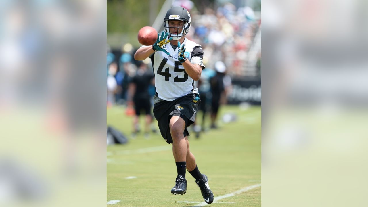 Jacksonville Jaguars tight end Neal Sterling (87) is congratulated