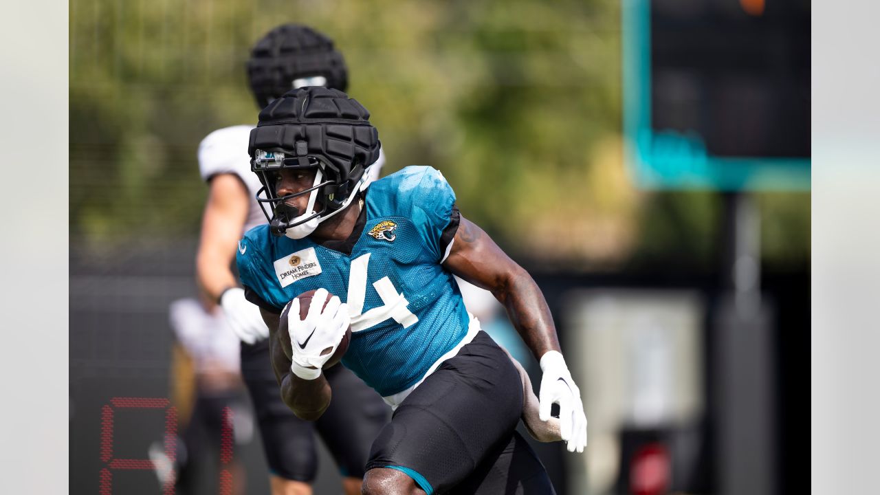 Photo gallery: Jaguars training camp at EverBank Stadium on Saturday