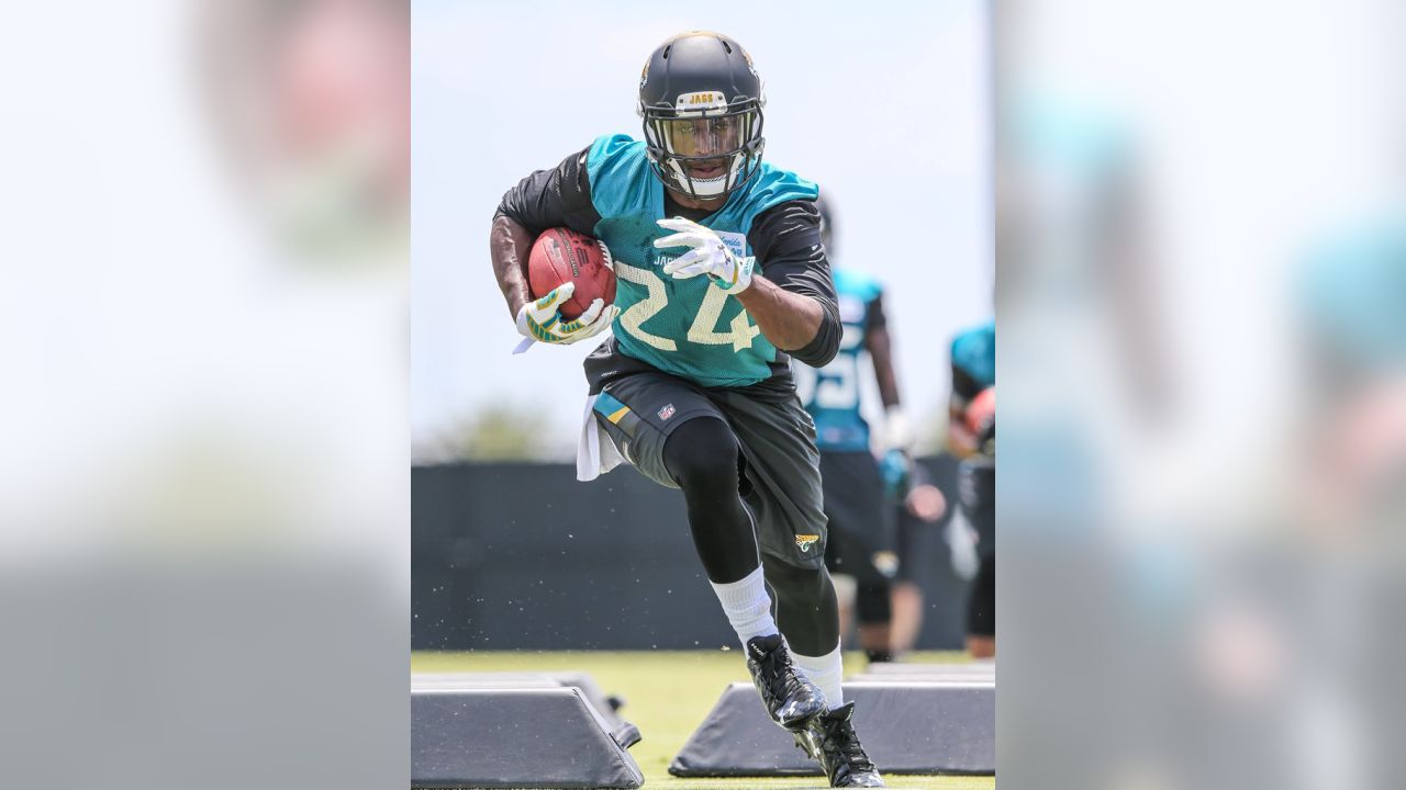 Jacksonville Jaguars tight end Neal Sterling (87) is congratulated