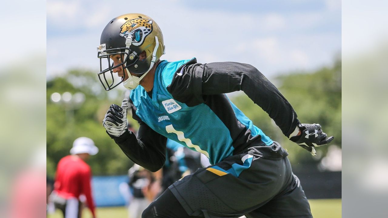 Jacksonville Jaguars tight end Neal Sterling (87) is congratulated