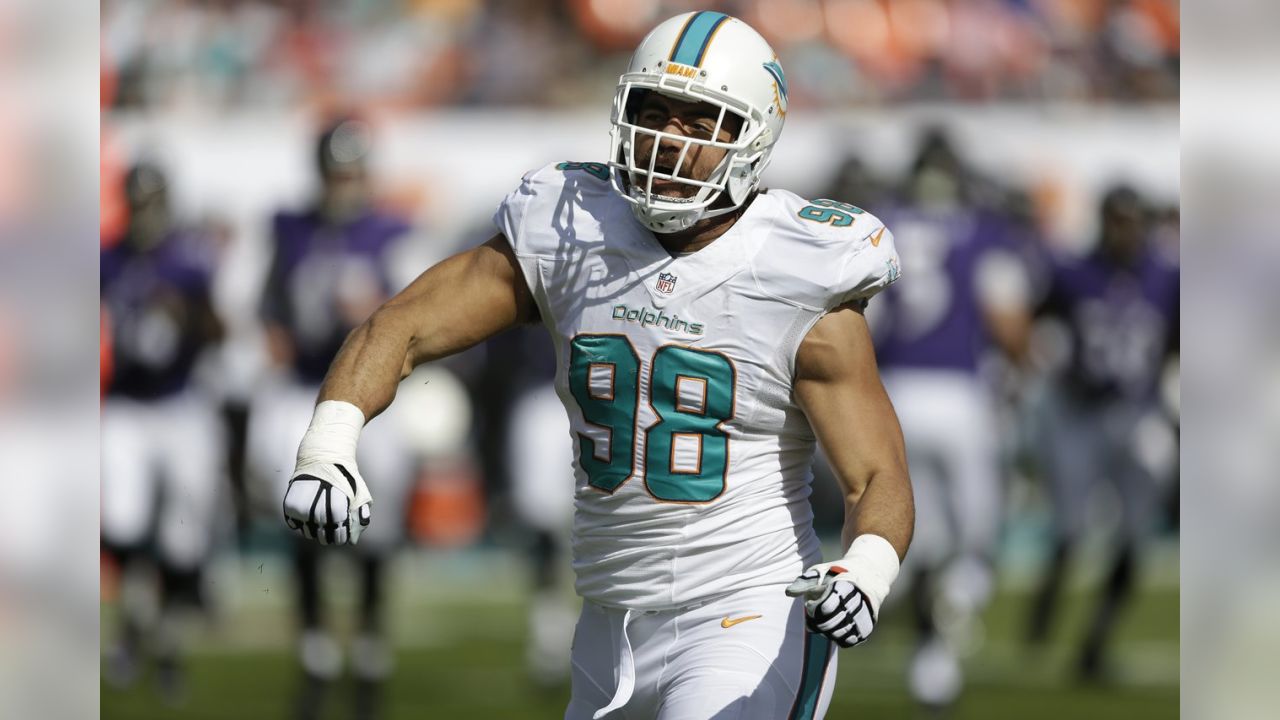 2015 Jacksonville Jaguars NFL Free Agency: Jared Odrick