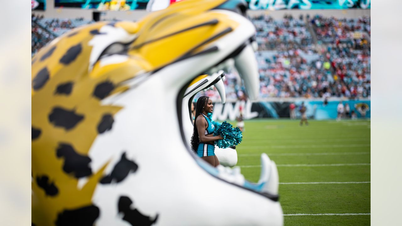 jaguars mascot bikini｜TikTok Search