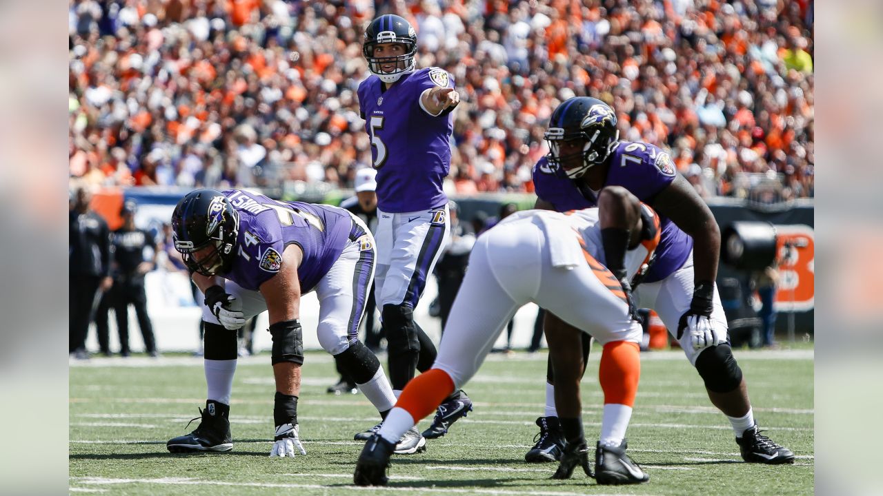 9,221 Joe Flacco Images Stock Photos, High-Res Pictures, and