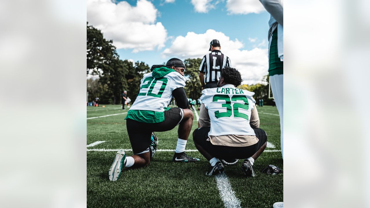 New York Jets' Jordan Whitehead, left and Jermaine Johnson celebrate a  turnover during an NFL football game against the Pittsburgh Steelers at  Acrisure Stadium, Sunday, Oct. 2, 2022 in Pittsburgh, Penn. (Winslow