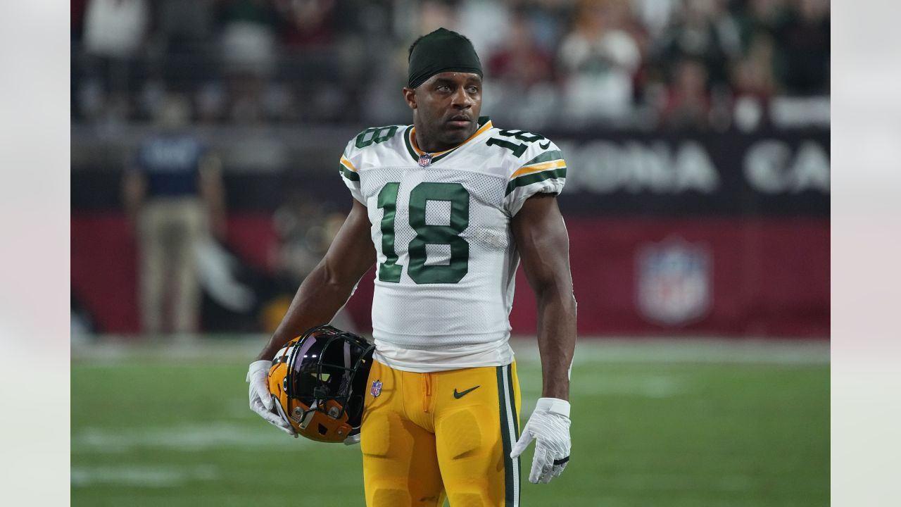 Gallery  Best Photos of WR Randall Cobb