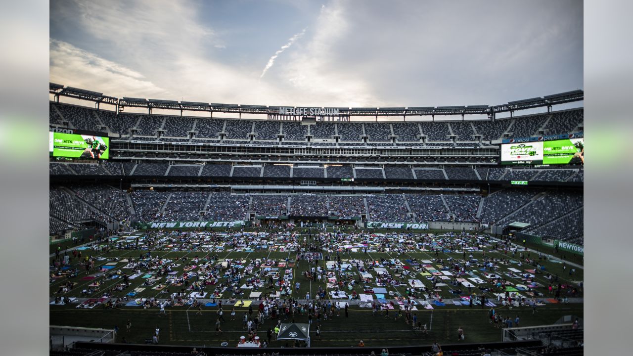 Metlife Stadium Movie Night (Ant-Man) 07/10/18