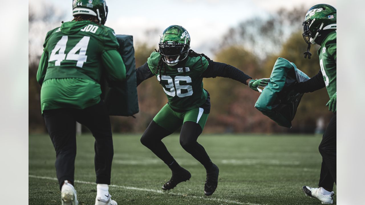 The New York Jets New Running Back Duo: James Robinson & Michael Carter 