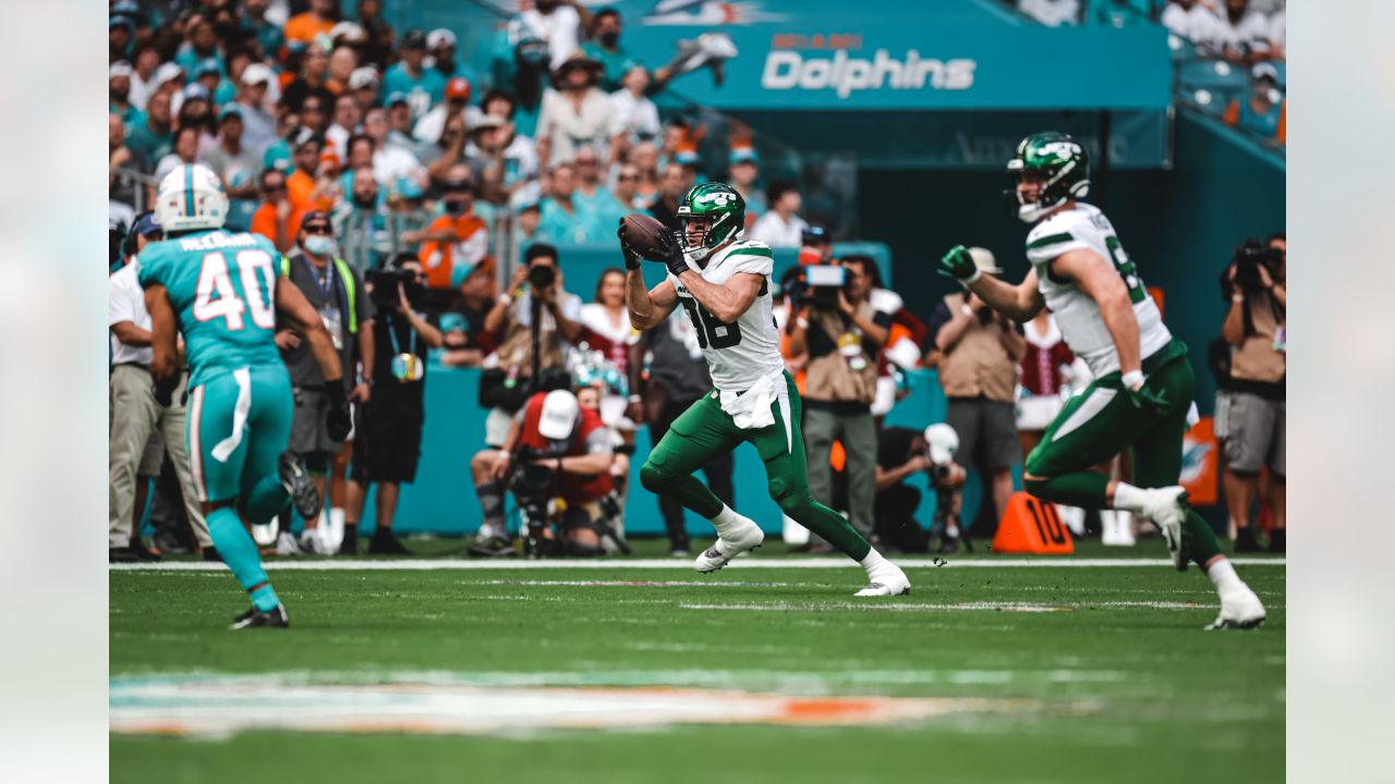 Photo gallery: Eagles at Dolphins