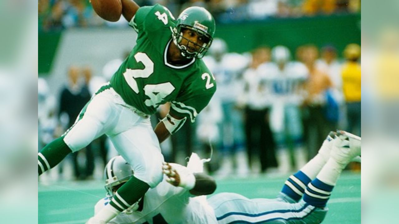 Freeman McNeil #24 NY Jet