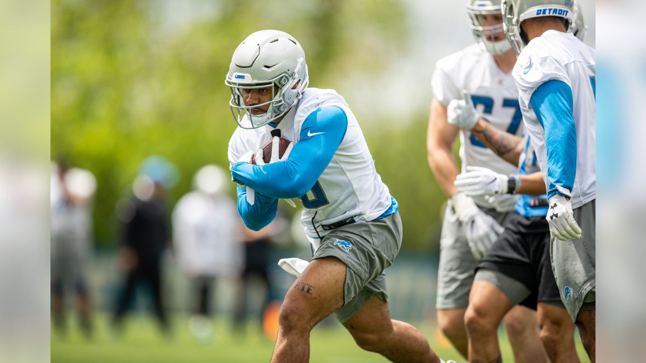 Detroit Lions: Ty Johnson's future in limbo following NFL Draft