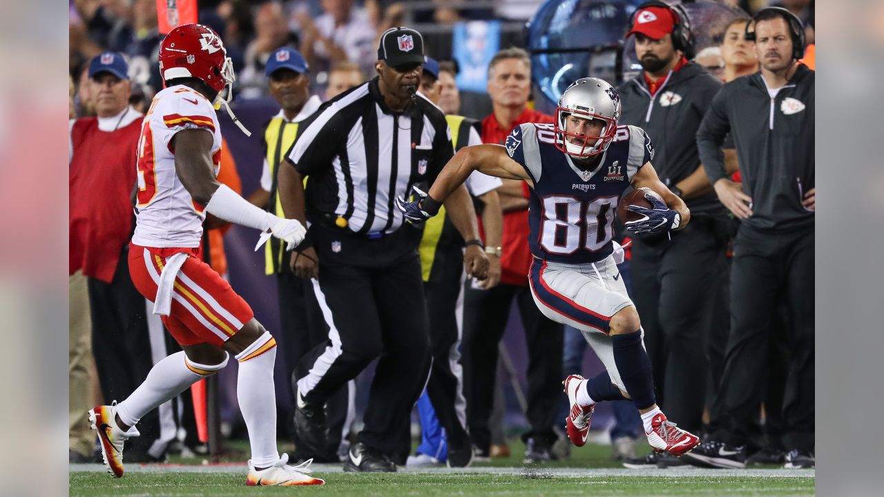 New England Patriots wide receiver Danny Amendola (L) catches game