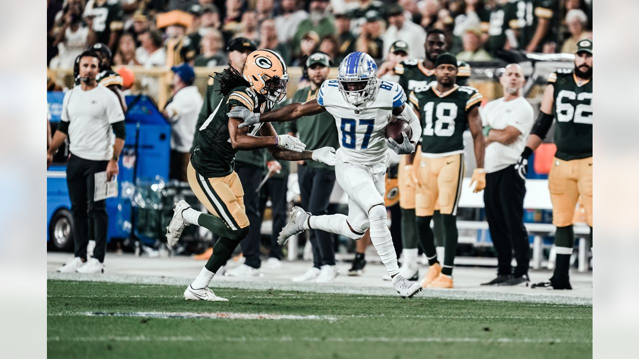 Detroit Lions wide receiver Quintez Cephus (87) catches a touchdown pass as  San Francisco 49ers …