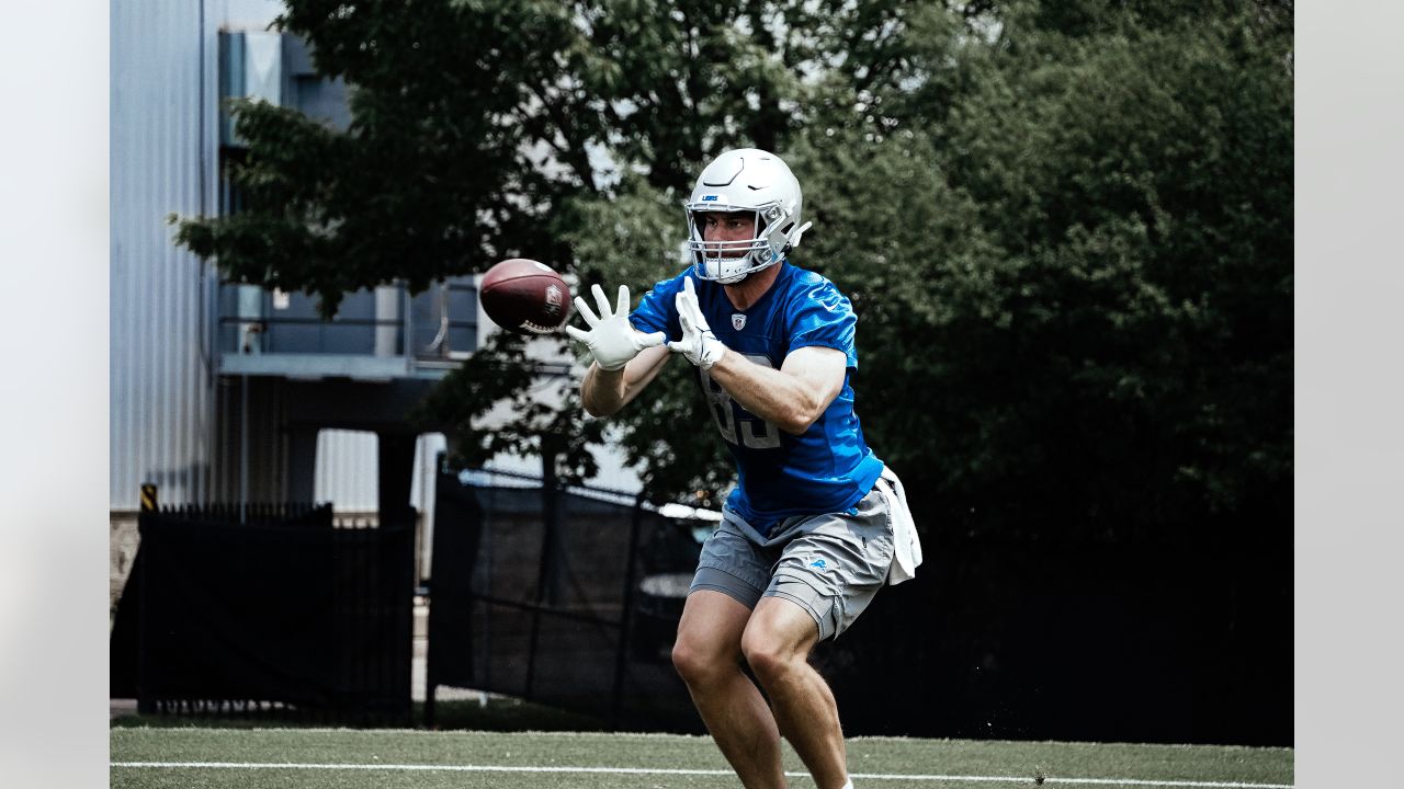 Detroit Lions tight end Brock Wright's 17-yard catch and run comes JUST  short of end zone