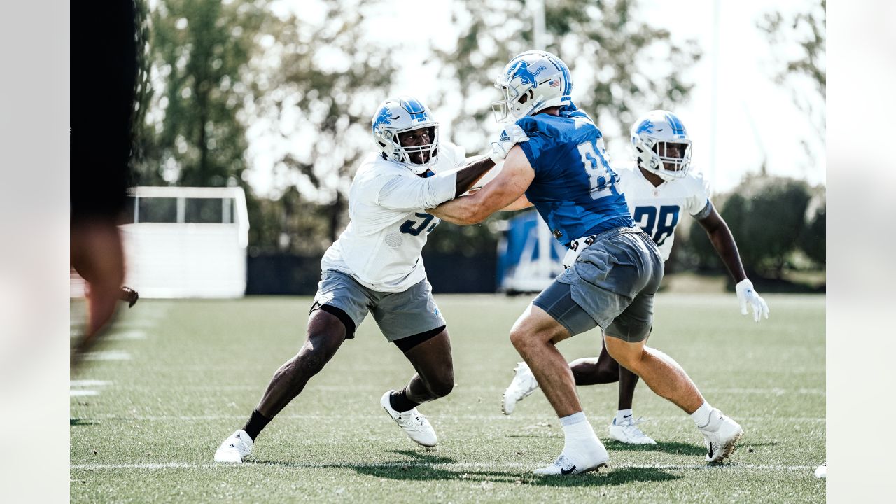 Detroit Lions on X: For Women's History Month, the #Lions honor the women  who have carved out their respective spaces in the world of sports. Join us  in recognizing and celebrating the