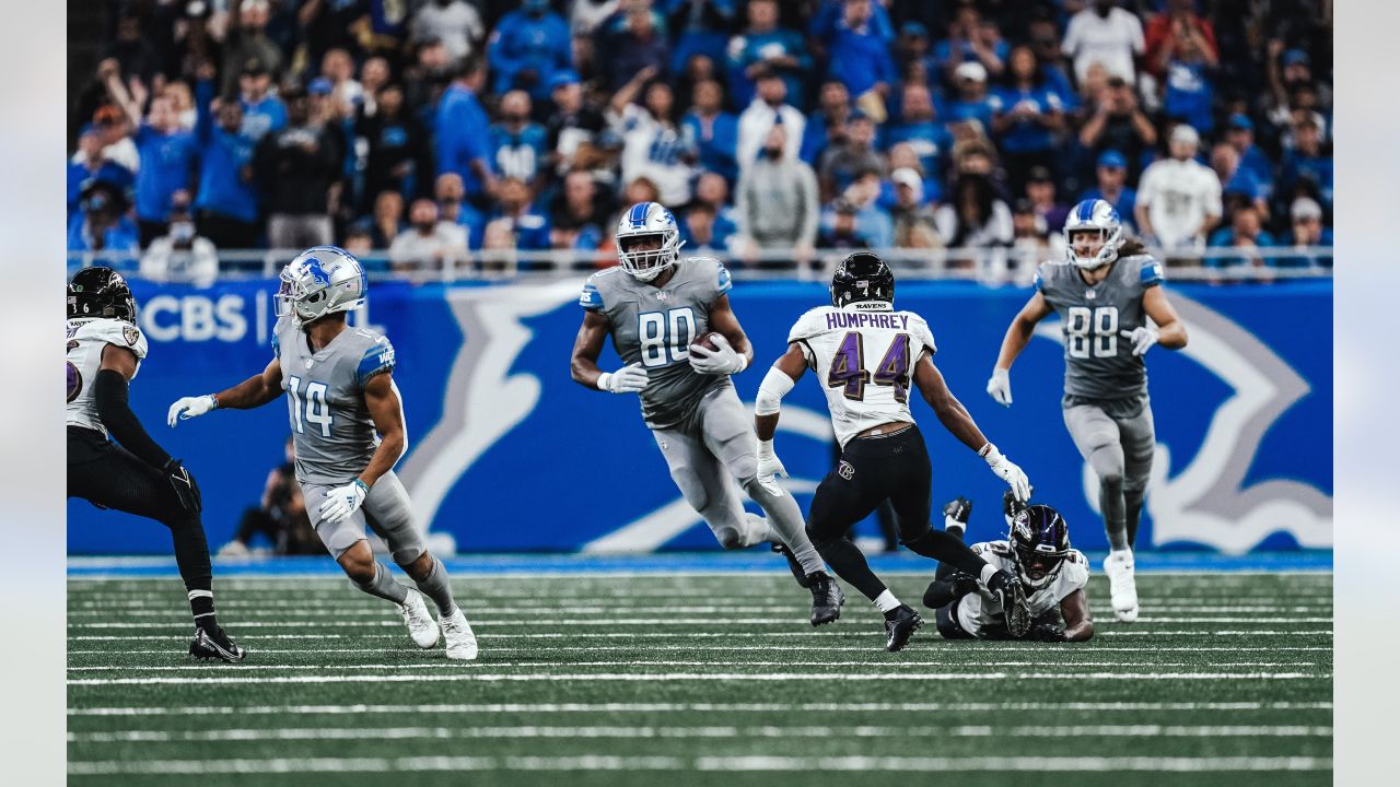 Detroit Lions tight end Darren Fells (80) blocks on offense against the  Baltimore Ravens during an NFL football game, Sunday, Sept. 26, 2021, in  Detroit. (AP Photo/Rick Osentoski Stock Photo - Alamy