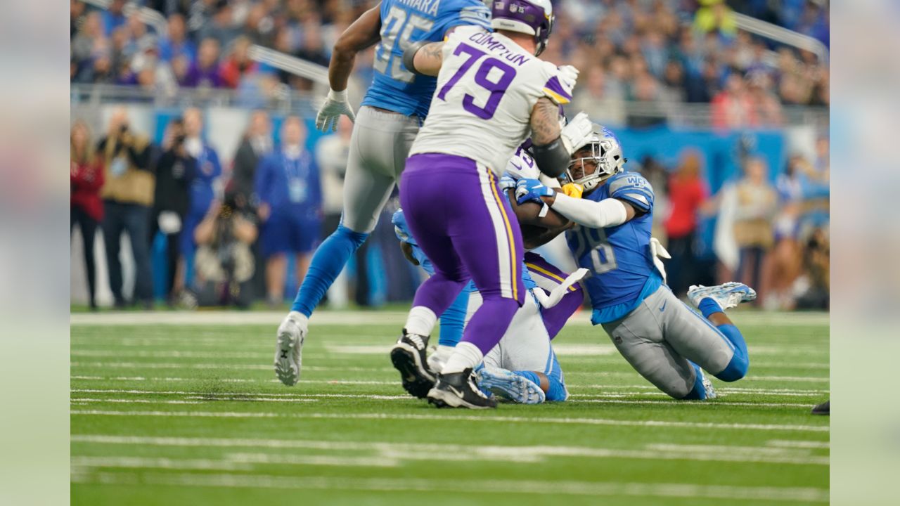 11442 Vikings V Lions Stock Photos, High-Res Pictures, and Images