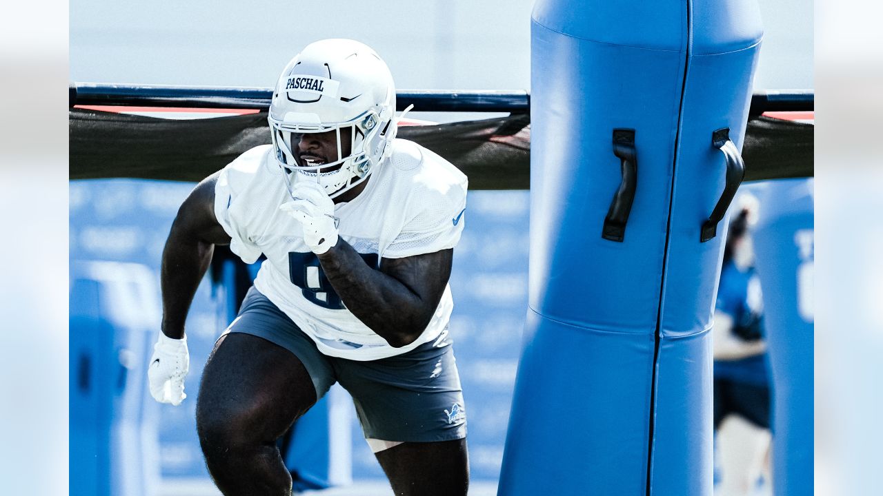 Detroit Lions 2022 training camp preview: Defensive line