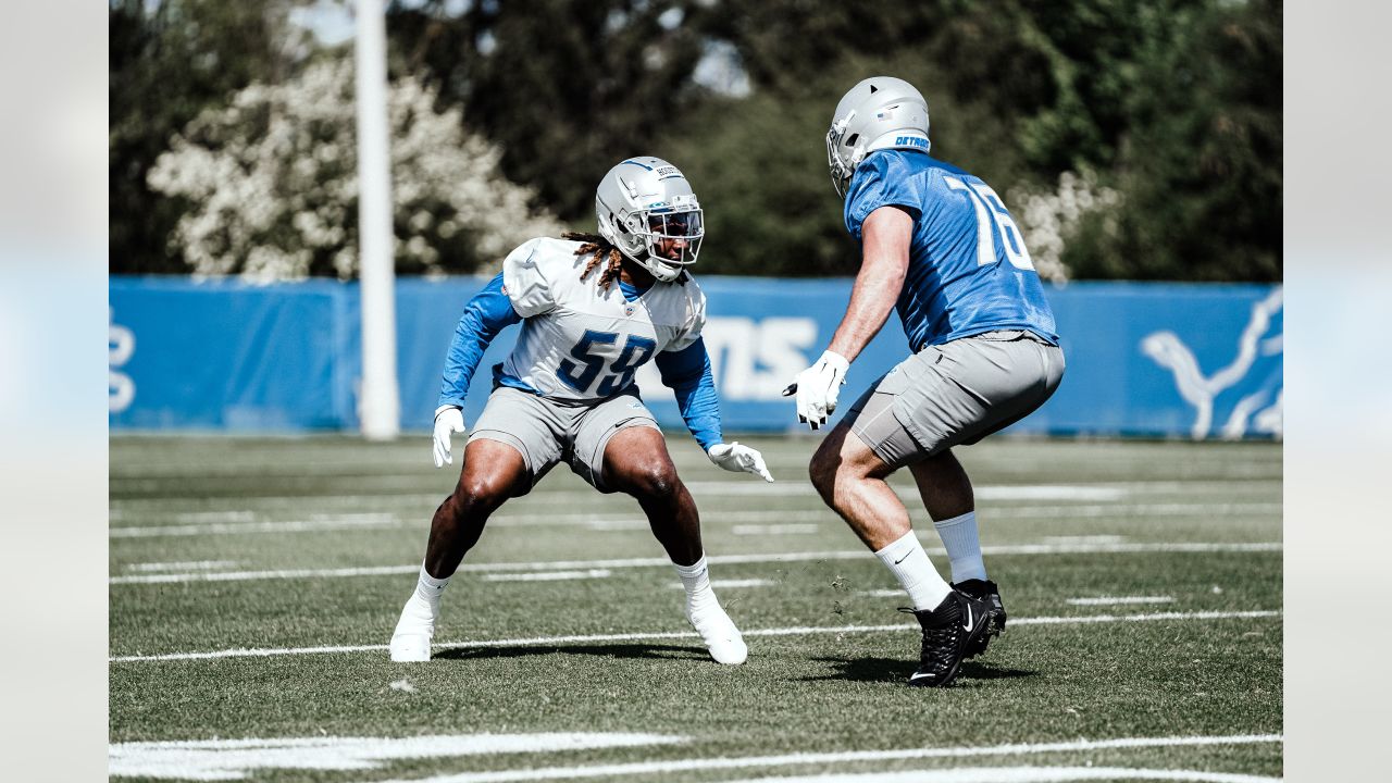 Detroit Lions roster preview: Malcolm Rodriguez Year 2 expectations - Pride  Of Detroit