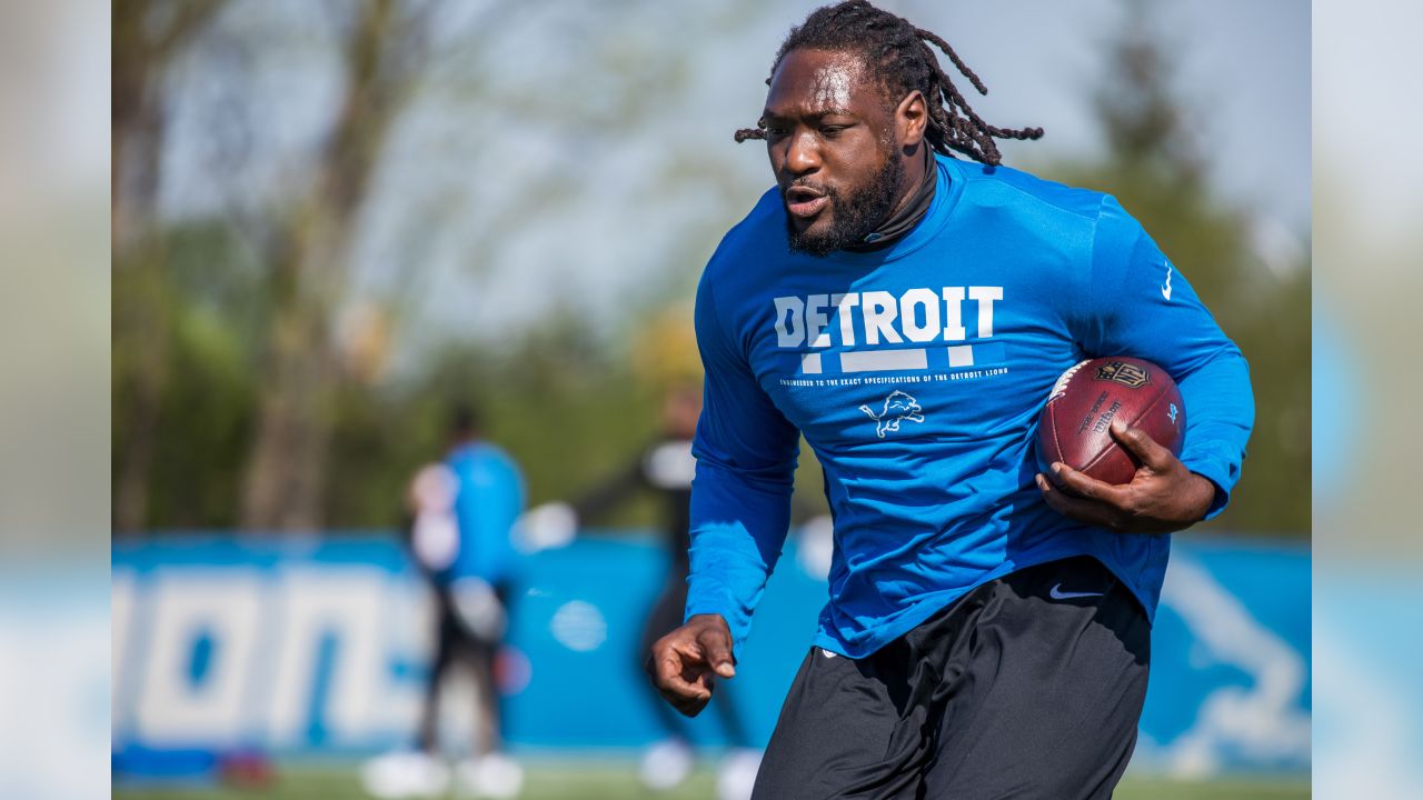 LeGarrette Blount, Theo Riddick Fantasy Outlook After Kerryon