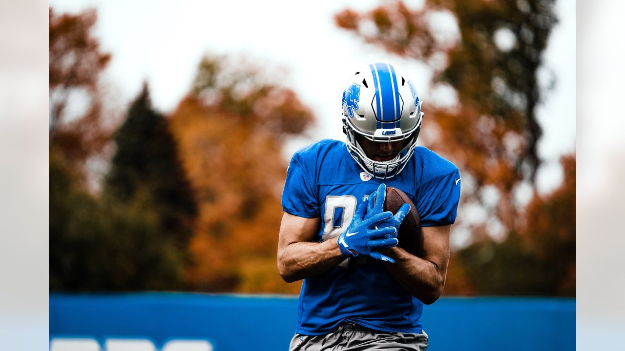 DETROIT, MI - OCTOBER 30: Detroit Lions linebacker Malcolm