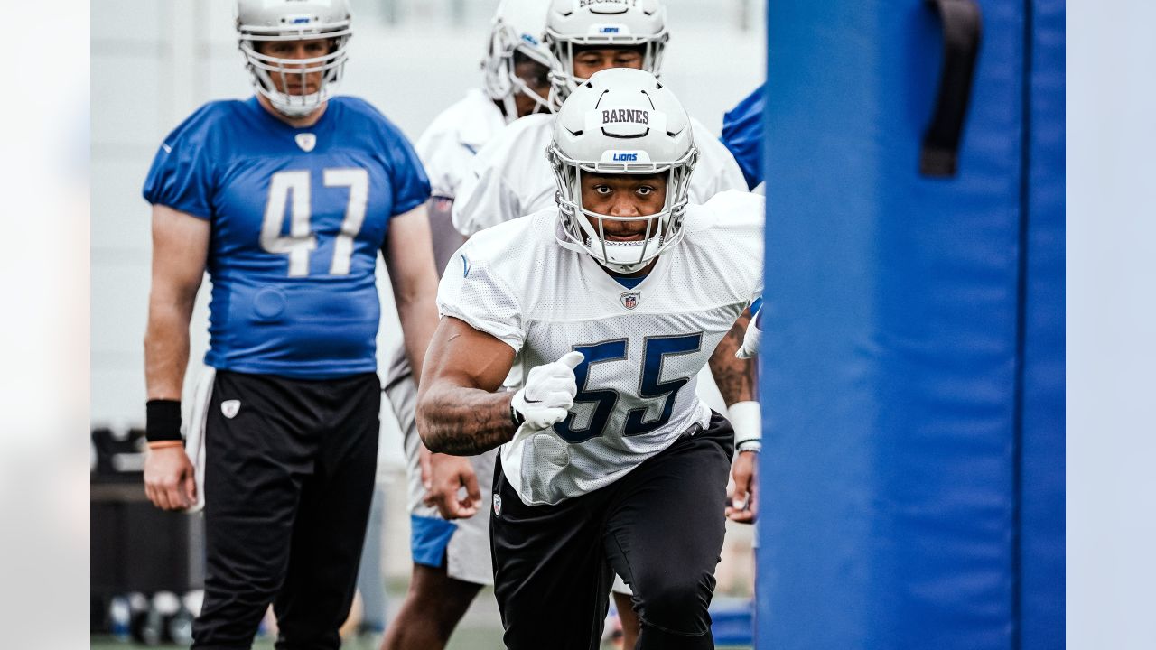 Detroit Lions' Rod Wood: Ford Field ready for another Super Bowl