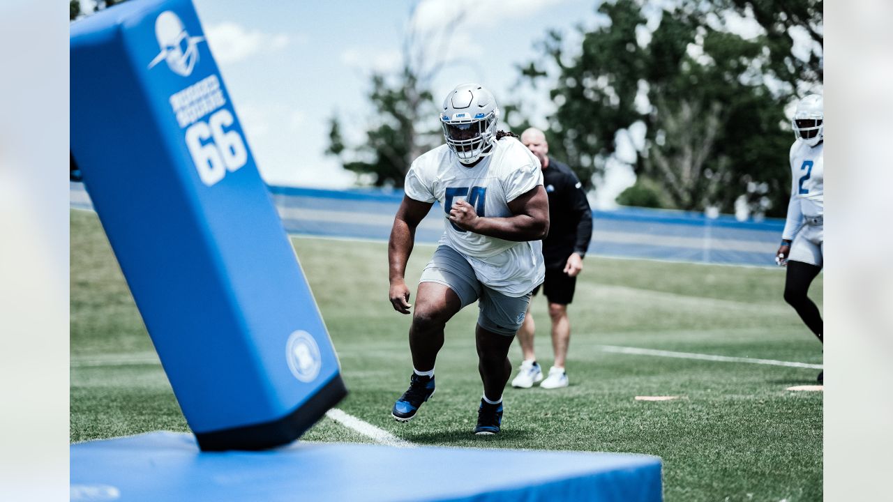 Detroit Lions 2022 review: Defensive line shows promise through many bumps  