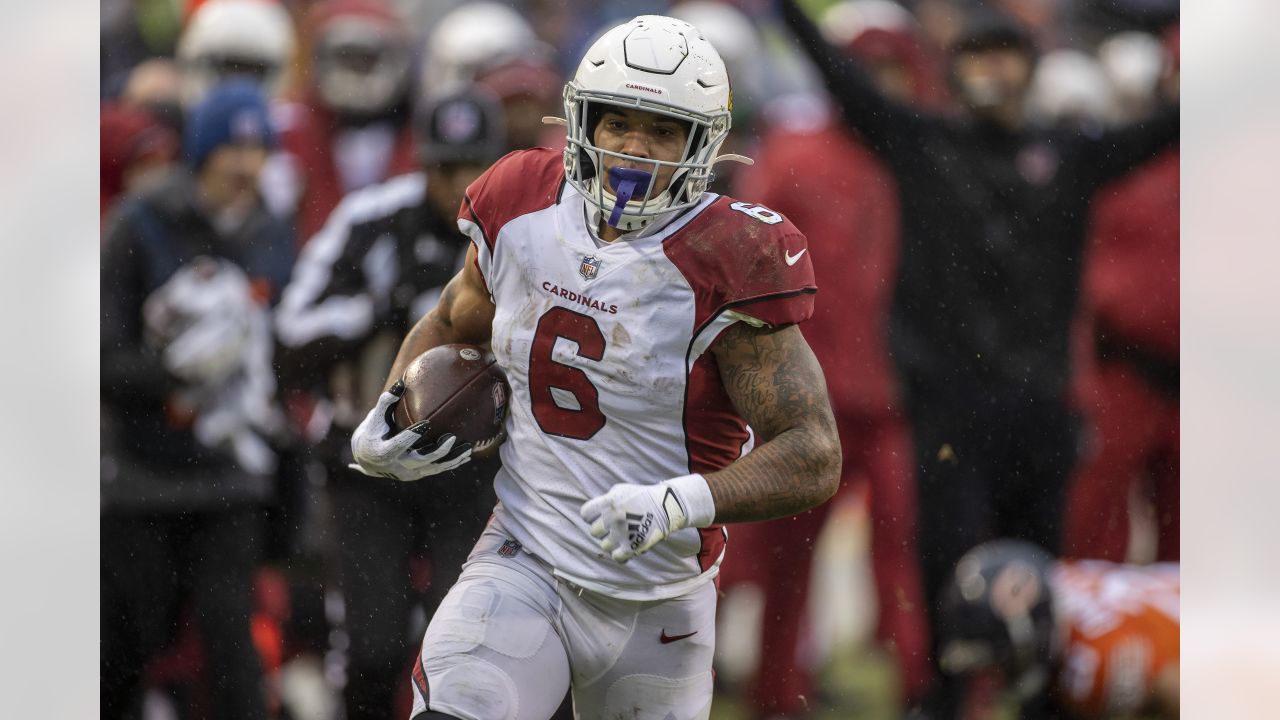 Cardinals-Lions live stream (12/19): How to watch online, TV, time