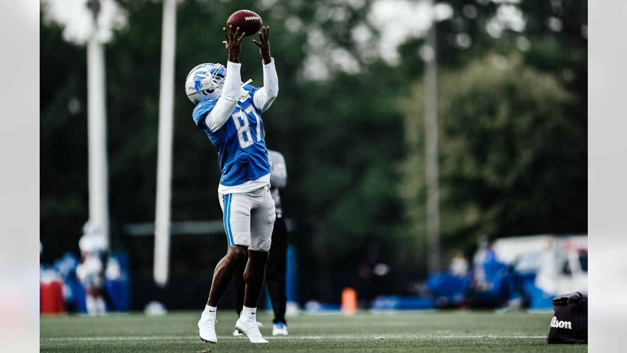 Detroit Lions rookie DTs Alim McNeill, Levi Onwuzurike form quick bond